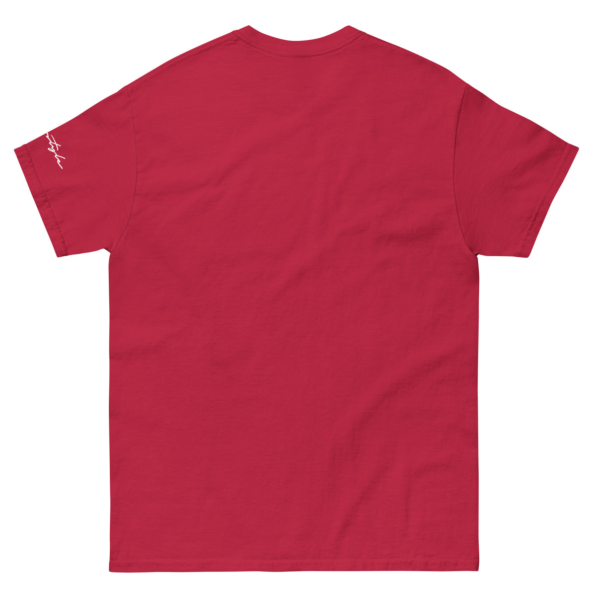CvLs Men's classic tee