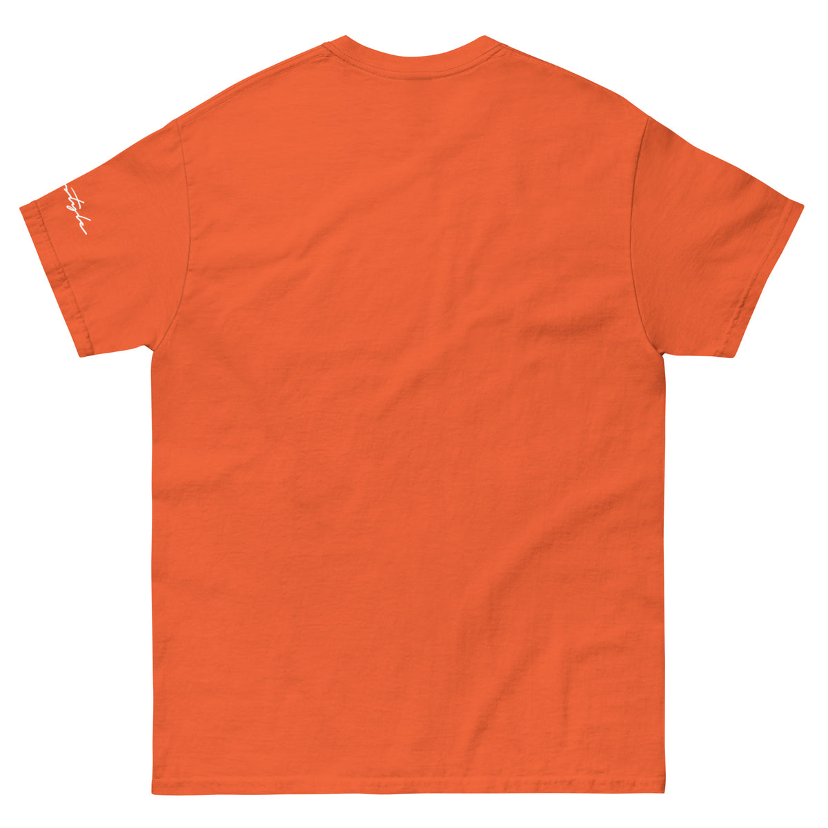 CvLs Men's classic tee