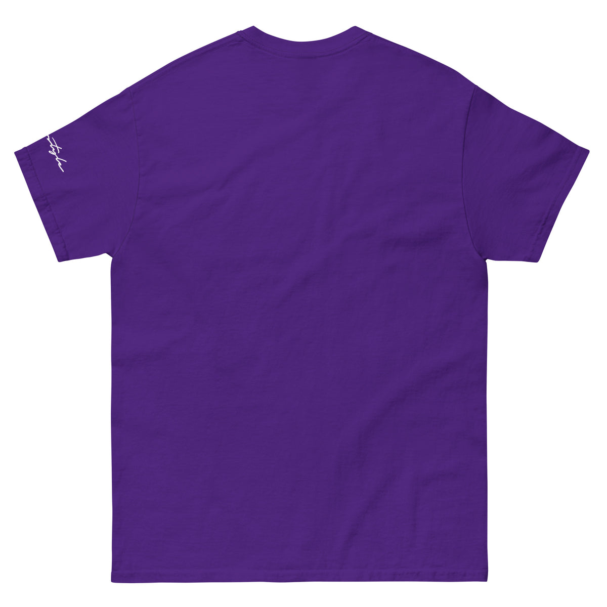 CvLs Men's classic tee